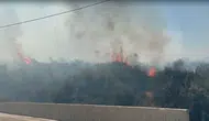 Torbalı'daki orman yangını fabrikaları tehdit ediyor