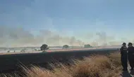 Eskişehir Seyitgazi’de yangın üç köye sıçradı