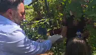 Siirtte toprakla iyileşen minik eller ve özel bireyler