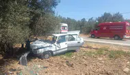 Havran'da kontrolden çıkan otomobil zeytinliğe daldı