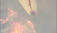 Efeler’de orman yangını paniği