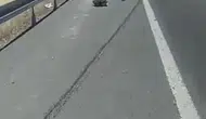 Elazığ’da traktöre arkadan çarpan sürücü hastanelik oldu
