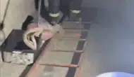 Osmaniye'de bir evin mutfağında zehirli misafir alarmı