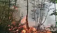 Karacabey ormanlarında alevler hızla kontrol altına alındı
