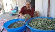 Şırnak dağlarında 30 yılın ardından gelen doğal lezzet şöleni