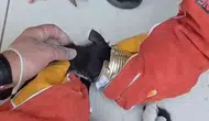 Batman sokaklarında kedi kurtarma operasyonu