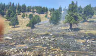 Kahramanmaraş'ta orman yangınlarını ekipler kısa sürede söndürdü