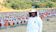 Pursaklar Belediyesi Abadan Bal Ormanı'nda hasat dönemini başlattı