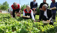 Elazığlı çiftçinin hasat mesaisine Vali Hatipoğlu da katıldı