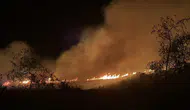 Bodrum’da gece saatlerinde otluk alanda yangın paniği