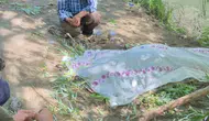 Hakkari Derecik'te günlerdir aranan Şevket İzci'nin cansız bedenine ulaşıldı