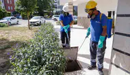 Antalya’da sivrisinek istilasına karşı 1700 kişilik dev ordu sahada