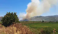 Söke'de tarım arazisinde korkutan yangın