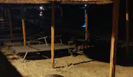 Caretta carettalar Aydın sahillerini yeniden keşfetti