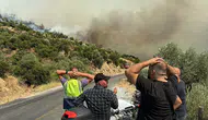 Aydın Çine’deki orman yangını rüzgarla birlikte yeniden alevlendi