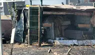 Çanakkale yolunda alevlerin arasında kalan köpek kurtarıldı