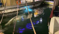 Sinop limanında bağlı tekne aniden sulara gömüldü