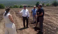 Muğla'da saman yangını üreticiyi vurdu