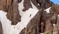 Tunceli dağlarında yaz ortasında şaşırtan görüntü