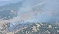 Kahramanmaraş’ta ormanlık alanda çıkan yangın korkuttu