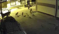 Adana'da gece korku dolu anlar