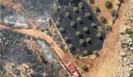 Antalya Kepez'de orman yangını paniği