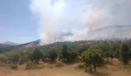 Diyarbakır Çüngüş’te alevler ağaçlık alanı sardı