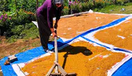Kahramanmaraşlıların kış sofrası hazırlığı başladı