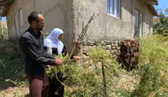 Hakkari’de tek ineğini kaybeden aileye 12 hayvanlık destek