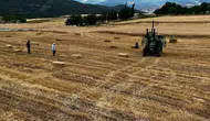 Sinop Saraydüzü tarlalarında hasat mesaisi başladı