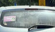 Eskişehir trafiğinde kedi resimli acemi sürücü notu yüzleri güldürdü