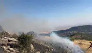 Diyarbakır Hazro'da 20 hektarlık alan yandı