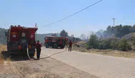 Aydın Koçarlı'da zeytinlikleri saran alevler söndürüldü