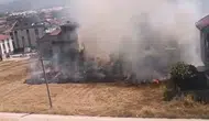 İnegöl'de dikkatsizlik 20 dönüm araziyi küle çevirdi
