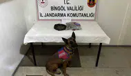 Bingöl jandarmasından suçlulara geçit yok
