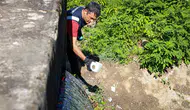 Sapanca Gölü'nü korumak için Mollaköy'den su taşınıyor