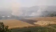 Elazığ Tadım köyünde otluk yangını paniği