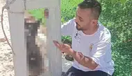 Hatay'da vahşet Evden çalınan köpek elektrik direğinde ölü bulundu