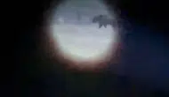 Seferihisar'da dehşet saçan ayı vuruldu