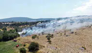 Menteşe’de zeytinlikleri küle çeviren yangın söndürüldü