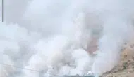 Bitlis dağlarındaki yangın arıcıları vurdu