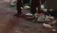 Karslı vatandaşın ayı ailesine söylediği türkü sosyal medyayı gülümsetti