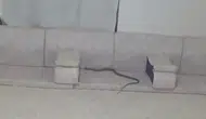 Hakkari’de akşam yemeği hazırlığı bir anda kabusa dönüştü