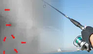 Balık tutarken başına gelenler filmlere konu oldu: Yılan balığıyla günlerce yaşadı