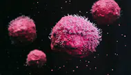 Kanserin büyümesini durduran yeni protein mekanizması keşfedildi