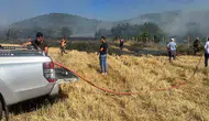 Karabükte anız yangını ormana ulaşmadan durduruldu