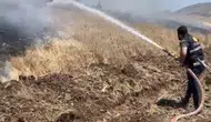 Elazığ’da rüzgarın körüklediği yangın 35 dönüm ürünü yaktı