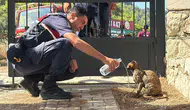 Antalya yangınlarla mücadele ediyor Kumluca yolunda alevler yükseliyor