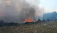 Muğla Yenice’de yangın ormana sıçradı ekipler havadan ve karadan müdahale ediyor