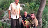 İskenderun’da dereye yuvarlanan koyunu itfaiye ekipleri kurtardı